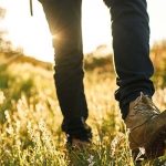 West Mendip Walkers July