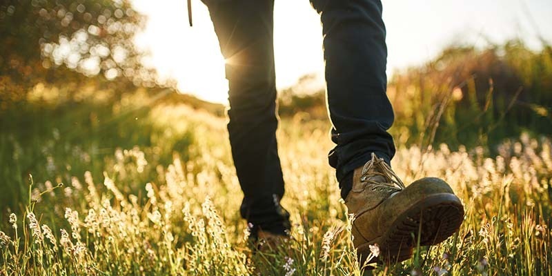 West Mendip Walkers July