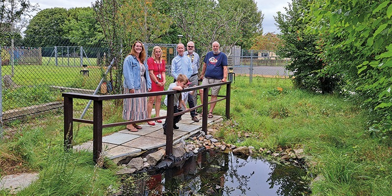 Pond Life at Cheddar First School